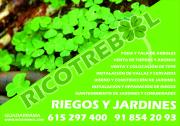 RICOTREBOL