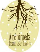 Andr�meda dreams & flowers