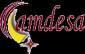Camdesa, camion de desatranques