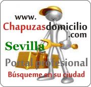 Chapuzas a domicilio