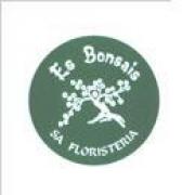 Floristeria Es Bonsais