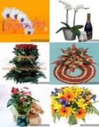 Florister�a Florenart en Valencia