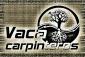 Vacacarpinteros