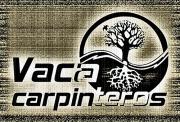 Vacacarpinteros