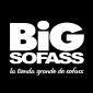 BiGSOFASS