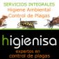 Higienisa Tratamientos y eliminacion de termitas y carcomas
