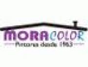 IRIS MORACOLOR PINTORES