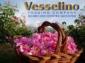 Vesselino Trading Company