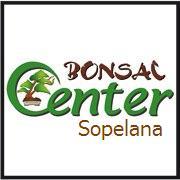 BONSAI CENTER SOPELANA