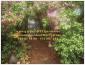 Garden,sweet garden