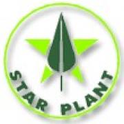 STAR PLANT