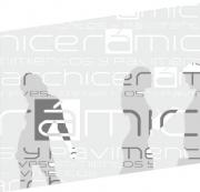 ARCHICERAMICA