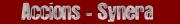 ACCIONS-SYNERA