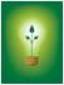 energia ecologica