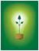 Energia ecologica