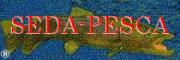TIENDA DE PESCA: SEDA-PESCA