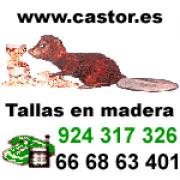 Tallas en madera Castor