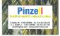 PINZELL