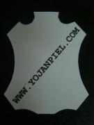 www.yojanpiel.com