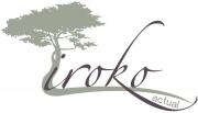 Iroko Actual S.L.