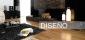 PLADUR PARQUET DECORACION