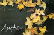 AZARBE JARDINES