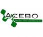 ACEBO Trabajos Verticales