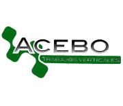 ACEBO Trabajos Verticales