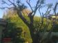 jardineria josep maria