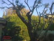 jardineria josep maria