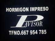 pavisor2004
