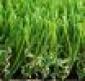 INTERNATIONAL ARTIFICIAL GRASS IAG SL