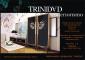 trinidad interiorismo sl