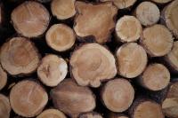 La madera el mejor aliado para el ahorro energetico La madera el mejor aliado para el ahorro energetico