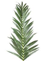 Hoja de palmera artificial grande
