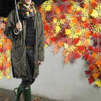 Joyn Autumn Leaf Joyn Autumn Leaf