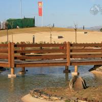 Puente de madera para jardín Puente de madera para jardín