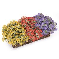 Plantas artificiales kalanchoes surtidas en La Llimona home